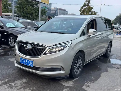 2017 Buick GL8 ES 28T Flagship China V, фото 1, лот 10768101