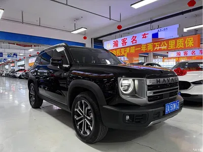 2024 Haval Big Dog 1.5T DCT Border Collie Edition, фото 3, лот 10361787