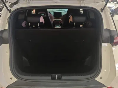 2023 BYD Seagull Freedom Edition, фото 4, лот 10250860