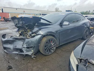 2023 TESLA MODEL Y, фото 1, лот 10855820