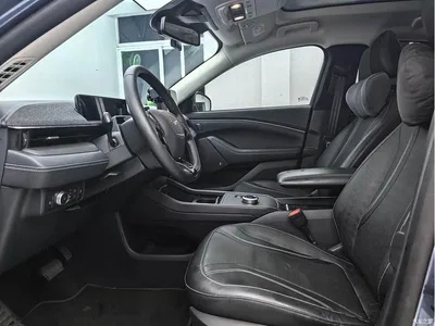 2021 Ford Mustang Mach-E Boundless RWD Luxury (Long Range), фото 4, лот 10281162