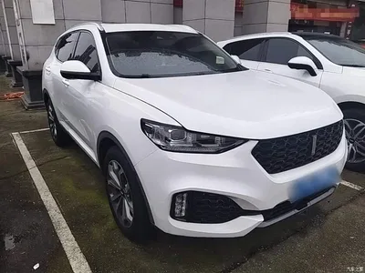 2018 WEY VV6 2.0T 2WD Super Luxury China V, фото 4, лот 10452381