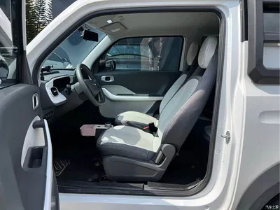 2025 Geely Galaxy Panda Model Year 210km Panda Knight, фото 3, лот 10306563