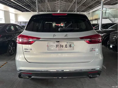 2019 Hongqi HS5 2.0T Smart Connect Enjoy 4WD Edition, фото 4, лот 10288451