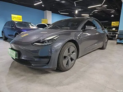 2021 Tesla Model 3 Standard Range Rear-Wheel Drive Upgrade 3D6, фото 2, лот 10369135