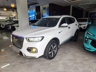 2021 Haval H6 1.5GDIT Automatic Champion Edition, фото 1, лот 11219633
