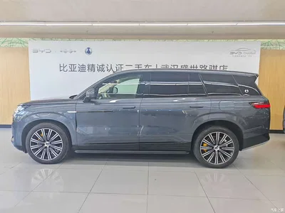 2025 Denza N9 Flagship Model, фото 4, лот 10346378