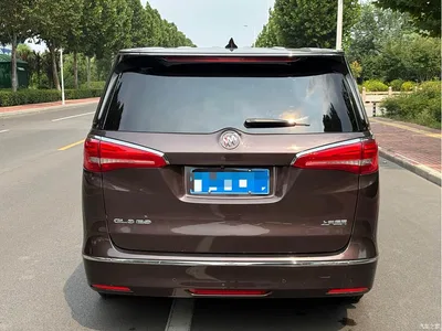 2017 Buick GL8 ES 28T Luxury China V, фото 3, лот 10256880