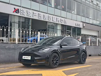 2022 Tesla Model Y Rear-Wheel Drive Version, фото 1, лот 11006441