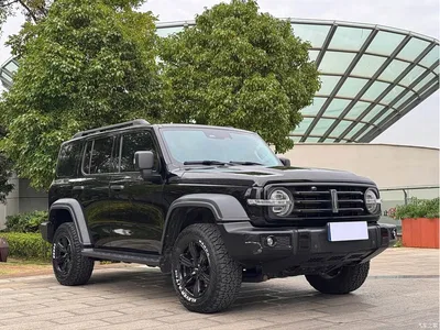 2021 Tank 300 Off-road Edition 2.0T Explorer, фото 2, лот 10450105