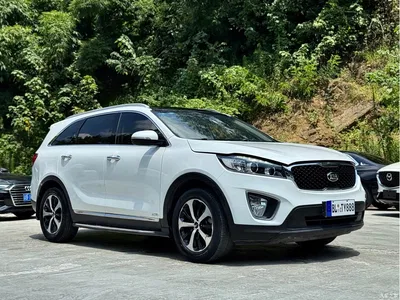 2016 Kia Sorento L 2.4L Gasoline 4WD Custom Edition 7-Seater China V, фото 4, лот 10332288