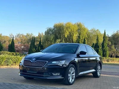 2016 Škoda Superb TSI330 DSG Pioneer Edition, фото 1, лот 11570607