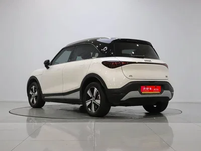 2024 smart Elf #1 Agile Standard Edition, фото 4, лот 10344554