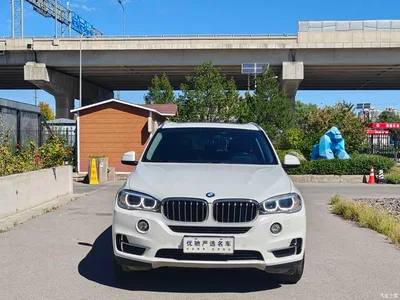 2018 BMW X5 (Import) xDrive28i, фото 2, лот 10464227
