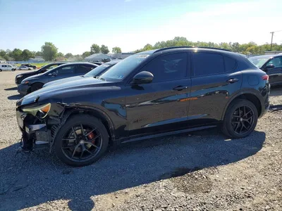 2020 ALFA ROMEO STELVIO TI, фото 1, лот 10882008
