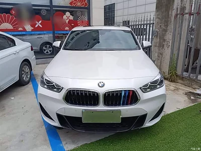 2020 BMW X2 sDrive25i Leading M Sport Package, фото 3, лот 10475625