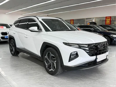2023 Hyundai Tucson L 1.5T Automatic 2WD DLX Luxury Edition, фото 3, лот 11243989