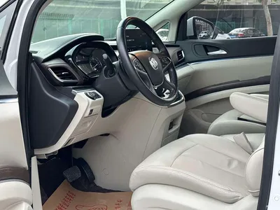 2021 Buick GL8 Land Business Class 652T Luxury, фото 3, лот 10256601
