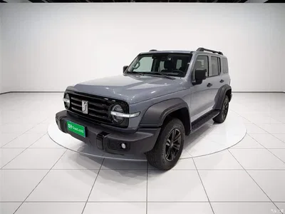 2021 Tank 300 Off-road Version 2.0T Conqueror, фото 1, лот 10345636
