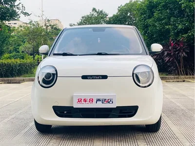 2022 Changan Qiyuan Changan Lumin 210km Sweet Edition, фото 2, лот 10407726