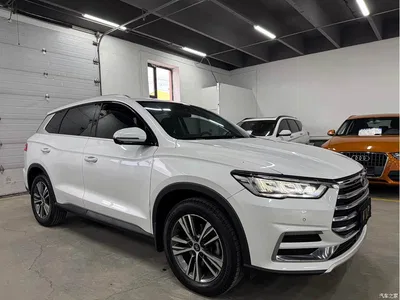 2019 BYD Song Pro 1.5T Automatic Luxury, фото 3, лот 10256657