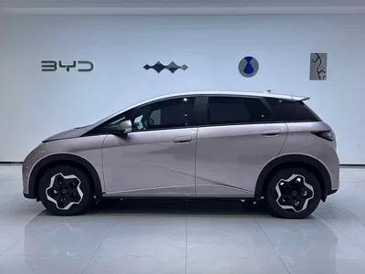 2021 BYD Dolphin Model 405km Fashion Edition, фото 2, лот 10258263