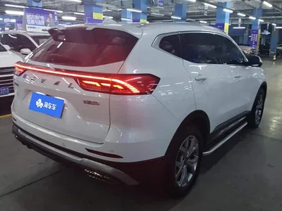 2021 Haval H6 Model National Trend Edition 1.5T Auto Champion, фото 3, лот 10460184