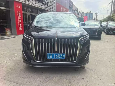 2023 Hongqi HQ9 2.0T Smart Connect Flag Enjoy Edition, фото 3, лот 10288016