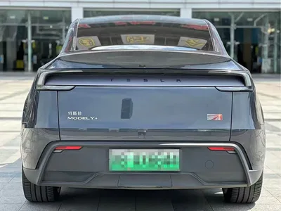 2025 Tesla Model Y Model Long Range All-Wheel Drive Launch Edition, фото 4, лот 11107268