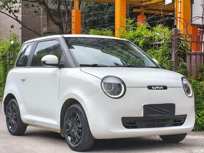 2022 Changan Qiyuan Changan Lumin 210km Sweet Edition, фото 3, лот 10408327