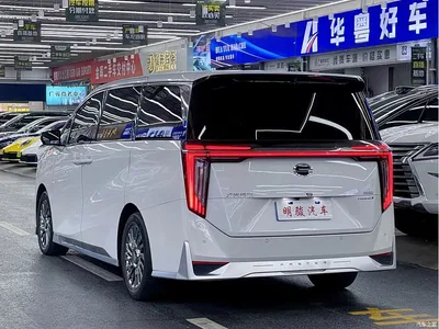 2023 GAC Trumpchi Trumpchi M8 Model Master Series Hybrid Royal Edition, фото 4, лот 11248754
