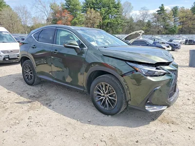2024 LEXUS NX 350 PREMIUM, фото 4, лот 10607396