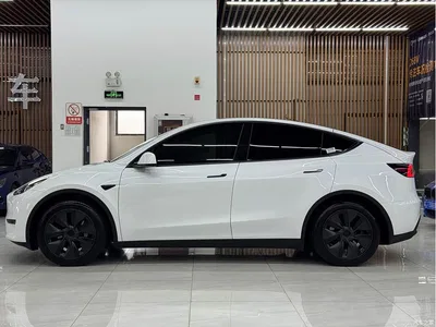 2024 Tesla Model Y Rear-Wheel Drive Version, фото 3, лот 10454379