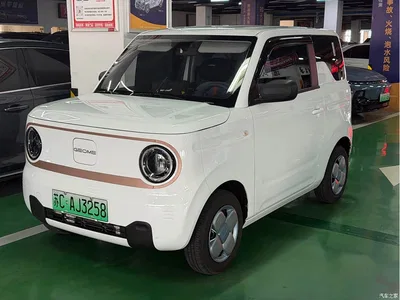 2024 Geely Galaxy Panda mini 200km Endurance Bear, фото 1, лот 10432291