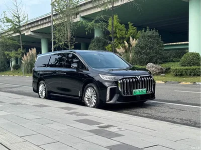 2022 Voyah Auto Voyah Dreamer Low-carbon Dream+Smart Package, фото 3, лот 11521909