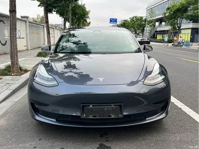 2019 Tesla Model 3 Standard Range Rear-Wheel Drive Upgrade, фото 2, лот 11217633