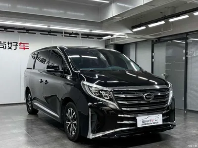 2021 GAC Trumpchi Trumpchi M8 Leading Show Series 390T Premium Edition, фото 3, лот 11188240