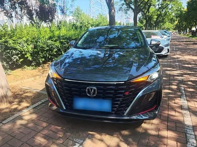 2023 Changan Eado Enjoy Edition PLUS Blue Whale NE 1.4T GDI DCT Premium Edition, фото 3, лот 10254336
