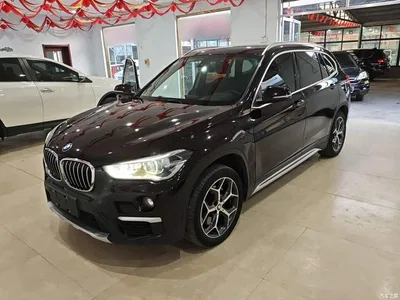 2019 BMW X1 xDrive20Li Premium Model, фото 1, лот 10838329
