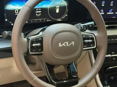2021 Kia Carnival 2.0T Flagship Edition, фото 3, лот 11536114