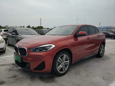 2020 BMW X2 sDrive25i Leading M Sport Package, фото 2, лот 10475508