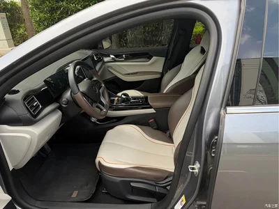 2024 BYD Qin PLUS Glory Edition EV 510KM Surpass, фото 4, лот 10364384