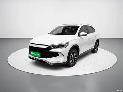 2024 BYD Song Pro New Energy Glory Edition DM-i 71KM Pilot, фото 1, лот 10999665