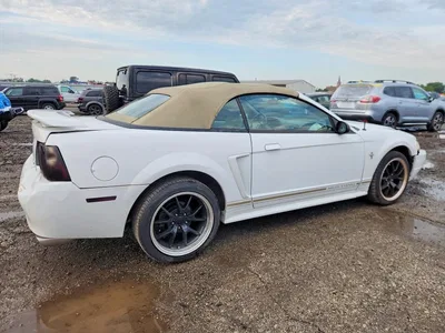 2001 FORD MUSTANG, фото 3, лот 10982544