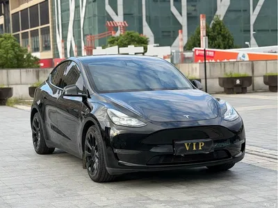 2021 Tesla Model Y Standard Range Rear-Wheel Drive, фото 3, лот 10452108