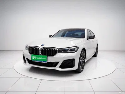 2022 BMW 5 Series 530Li Leading M Sport Package, фото 1, лот 10592917