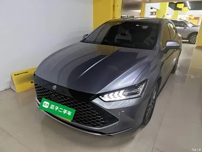 2023 BYD Qin PLUS Champion Edition DM-i 120KM Excellence, фото 2, лот 10889249
