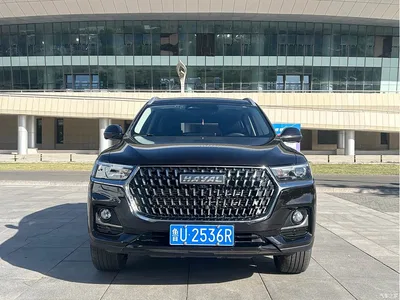 2023 Haval H6 National Trend Edition 1.5T Automatic Champion, фото 2, лот 10283417