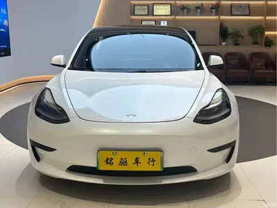 2021 Tesla Model 3 Standard Range Rear-Wheel Drive Upgrade, фото 2, лот 10353478