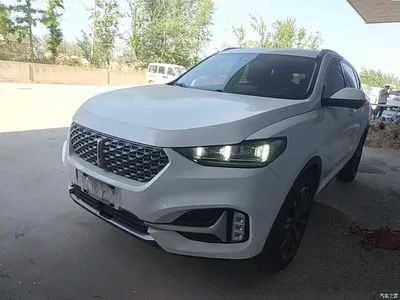 2021 WEY VV6 2.0T 4WD Intelligent Drive+, фото 2, лот 10452376